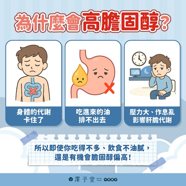 高膽固醇的原因說明