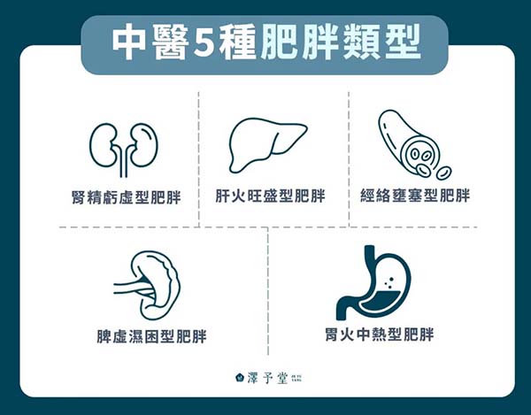 中醫5種肥胖類型