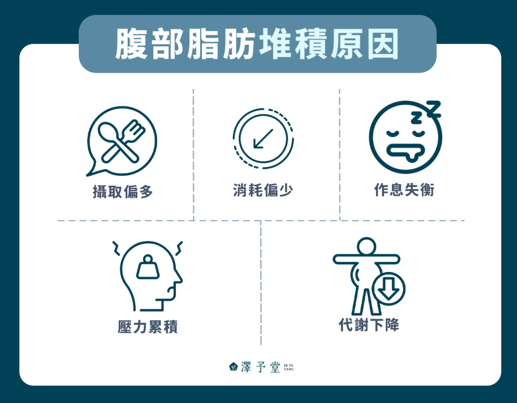 腹部脂肪堆積原因