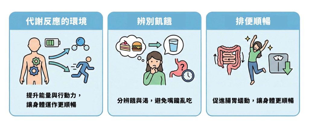 3-個水分在體態管理的關鍵